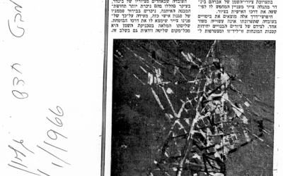 A Review of The Chemerinsky Gallery Exhibition, 1966